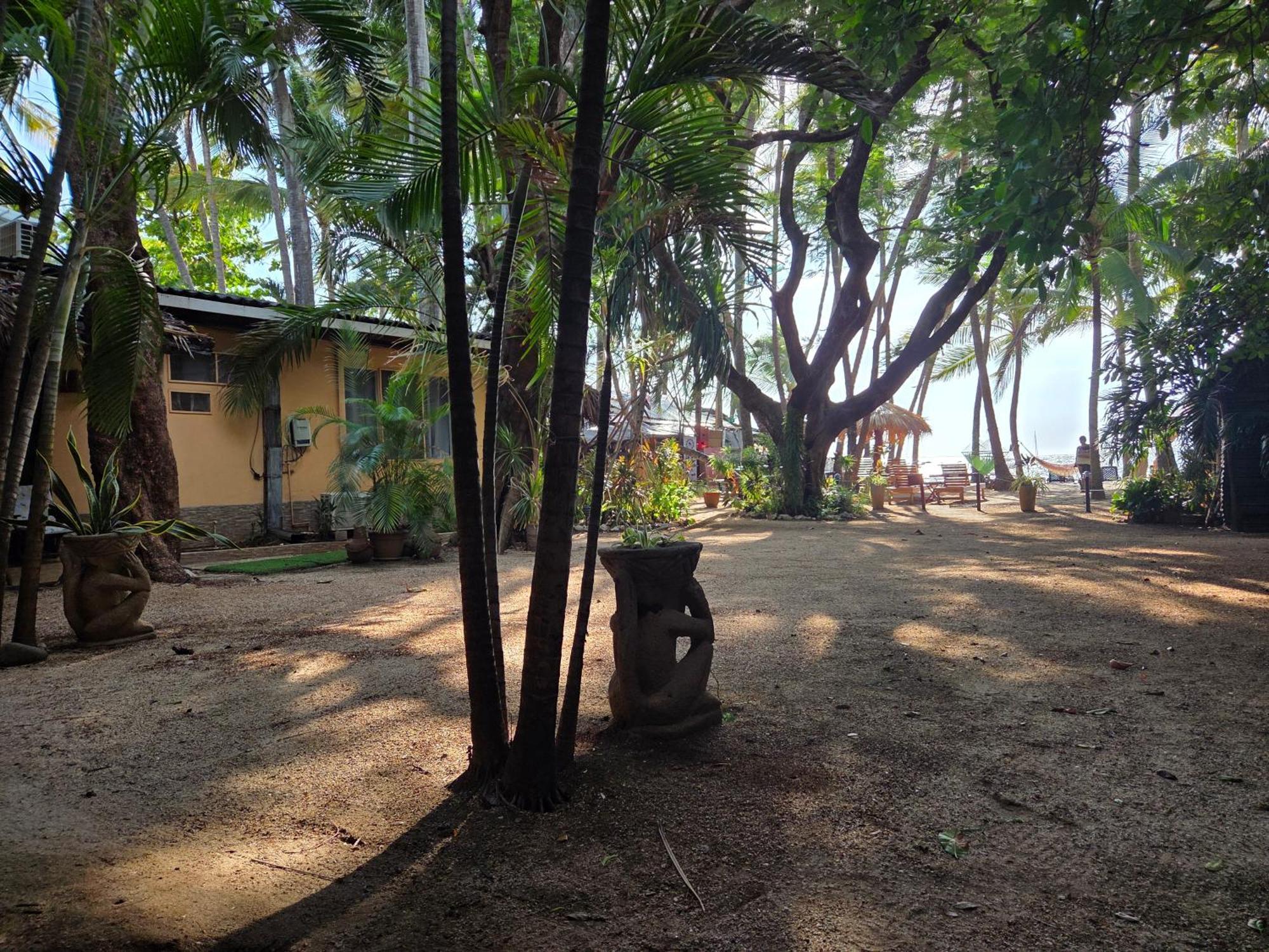 Hotel La Palapa Tamarindo Bagian luar foto